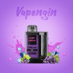 پاد سیستم یک بار مصرف ویپ اِنجین 5500 پاف | VAPENGIN 5500 PUFFS DISPOSABLE POD - Image 7