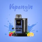 پاد سیستم یک بار مصرف ویپ اِنجین 5500 پاف | VAPENGIN 5500 PUFFS DISPOSABLE POD - Image 16